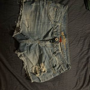 Arizona Jean shorts